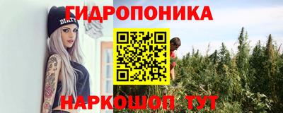 spice Кингисепп