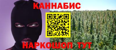 spice Кингисепп