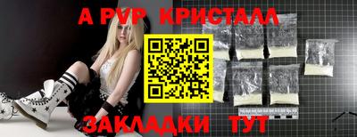 spice Кингисепп
