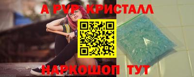 spice Кингисепп