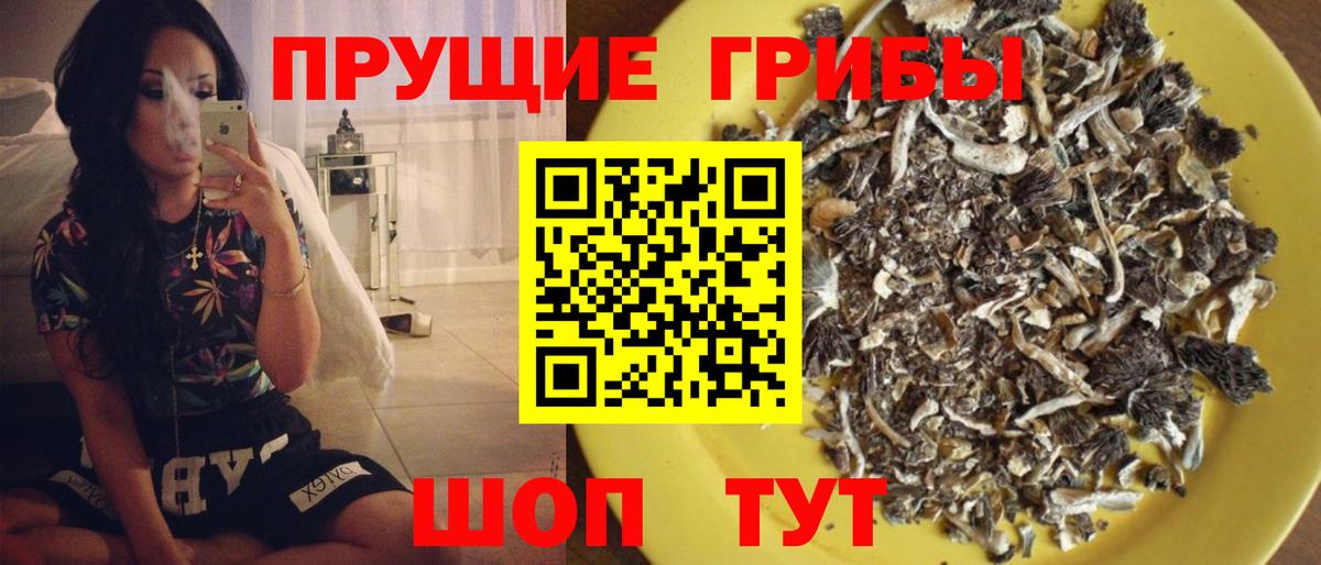 Псилоцибиновые грибы Magic Shrooms  Псилоцибиновые грибы мицелий  Вход с VPN  Новошахтинск 
