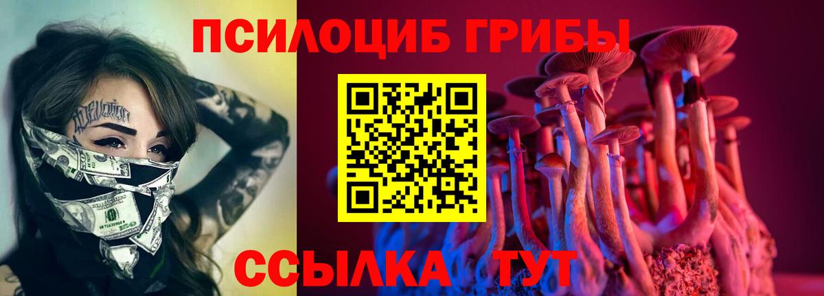 Псилоцибиновые грибы GOLDEN TEACHER Новошахтинск